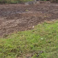 کدمشت اصغر/۱۱۰۰متر زمین بخر۱۰۰۰متر دیگه جایزه ببر|فروش زمین و ملک کلنگی|کوچصفهان, |دیوار