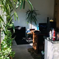 راهنمایی کنید