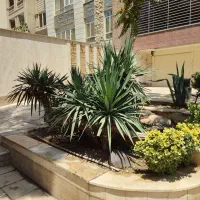 خدمات باغبانی «« راش سبز »»