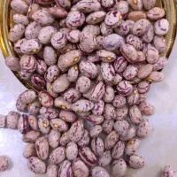 لوبیای چیتی وقرمز  220