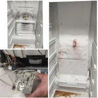 تعمیرات تخصصی یخچال،ساید،لباسشویی|خدمات پیشه و مهارت|همدان, |دیوار