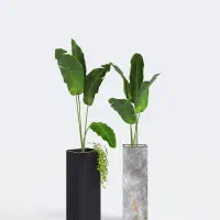 گلدان سرامیکی