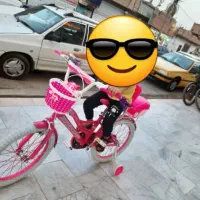 دوچرخه ۲۰ گم شده.یعنی دزدیدن پارس با پسرش ۱۲ساله