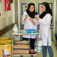 سوالات و قبولی ازمون دانشگاه
