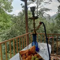 کلبه جنگلی روستایی