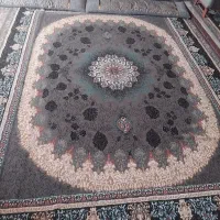 قالی ۱۲ متری|فرش|جیرفت, |دیوار