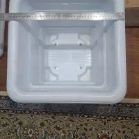 گلدان بزرگ|گل و گیاه طبیعی|تهران, سازمان برنامه شمالی|دیوار