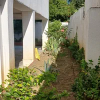 مجموعه خدماتی فضای سبز سبز آوران ارغوان|خدمات باغبانی و درختکاری|بابلسر, |دیوار