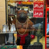 کلیه وسایل کافه