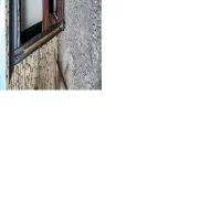 پاکدشت گلزاربالا گلستان یکم