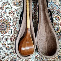 سه تار هوالحق|سازهای سنتی|قرچک, زیبا شهر|دیوار