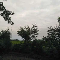 638 متر زمین مسکونی ساحلی در تازه آباد رضوانشهر|فروش زمین و ملک کلنگی|رضوانشهر, |دیوار