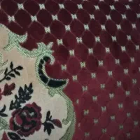 یک عدد پشتی