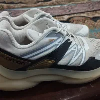 کفش مردانه|کیف، کفش، کمربند|فارسان, |دیوار