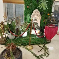 آب نما،مجسمه،تزیینی