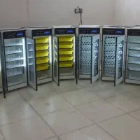 دستگاه جوجه کشی /00po لذت پرورش از صفر.