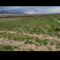 زمین کشاورزی اجاره ای نخود