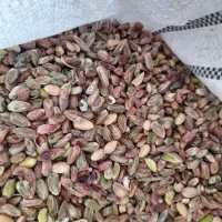 باغ-پسته-هرمزداباد