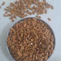 مغز بادام درختی