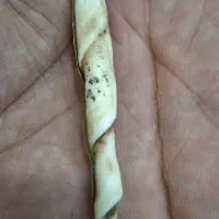 هبهاب خونیی اصل اصل|جواهرات|اهواز, امانیه|دیوار