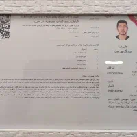 نهال انگور ترکمن و کشمشی