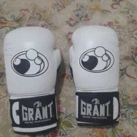 دستکش بوکس|تجهیزات ورزشی|یزد, |دیوار