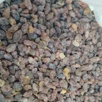 پخش عمده و جزیی کشمش آفتابی ، مویز ،