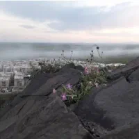 فروش-واحدهای-85-متری-نوساز-شهرک-امید-صفا-دشت
