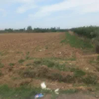 زمین باغی پشک دوم