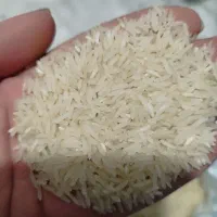 برنج فجر سوزنی درجه یک|خوردنی و آشامیدنی|گلستان (تهران), |دیوار
