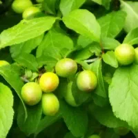 استخدام کارشناس فروش تلفنی ومشاور امورمالی