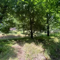 زمین-300-متری-لالان-OUSHAN-VILLA