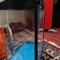 آکواریوم aqua bt300|ماهی|آفتاب, |دیوار