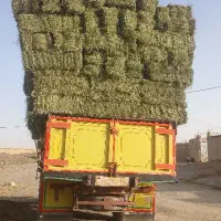 یونجه درجه یک تحویلی