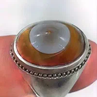 انگشتر های باباقوری|جواهرات|باغستان, |دیوار