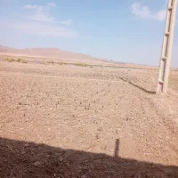 زمین کشاورزی با موقعیت عالی|فروش دفتر صنعتی، کشاورزی، تجاری|قائن, |دیوار