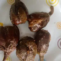 بادجان شکم پر|خوردنی و آشامیدنی|نجف‌آباد, یزدانشهر|دیوار