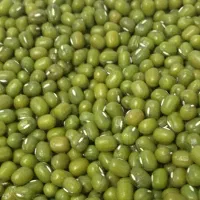 خریدار ماش و لوبیا