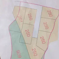 زمین ساحلی مسکونی ۲۵۰ متری ۳ کیلومتری دریا|فروش زمین و ملک کلنگی|بندر انزلی, لیچارگی حسن رود|دیوار