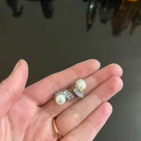 بدلیجات|بدلیجات|مشهد, تربیت (صدف)|دیوار