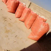 کاه گندم|حیوانات مزرعه|کوار, |دیوار