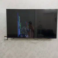 تلویزیون اسنوا