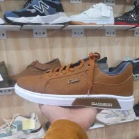 ونس مردانه نادری|کیف، کفش، کمربند|زنجان, |دیوار