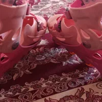 اسکیت دسته دوم ۳۸|دوچرخه، اسکیت، اسکوتر|کرج, خلج آباد|دیوار