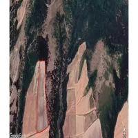 زمین برا اجاره ۵ هکتار