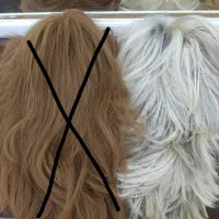 کلاه گیس کلاهی|آرایشی، بهداشتی، درمانی|آبادان, |دیوار