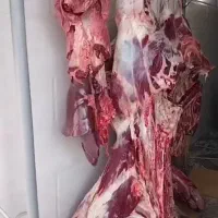 گوشت جهت مصرف فست فود و رستوارن|خوردنی و آشامیدنی|اصفهان, جلفا|دیوار