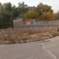 زمین فروشی|فروش زمین و ملک کلنگی|لوشان, |دیوار