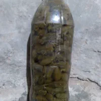 ترشی هندوانه ابوجهل