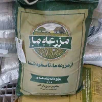 فروش برنج هندی پاکستانی بصورت عمده